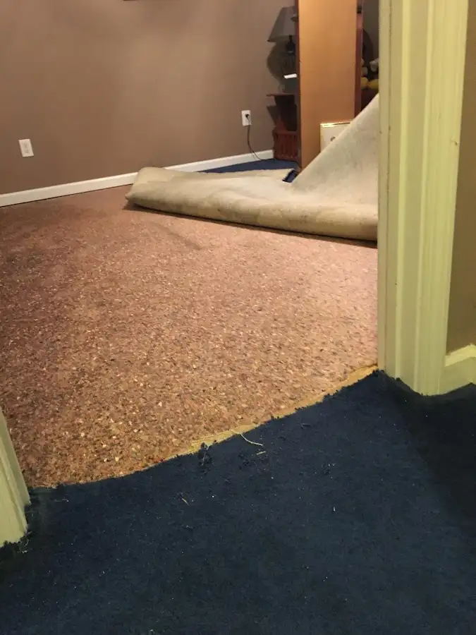 Carpet pad removal revealing water damage during Drying & Dehumidification in Manassas Park