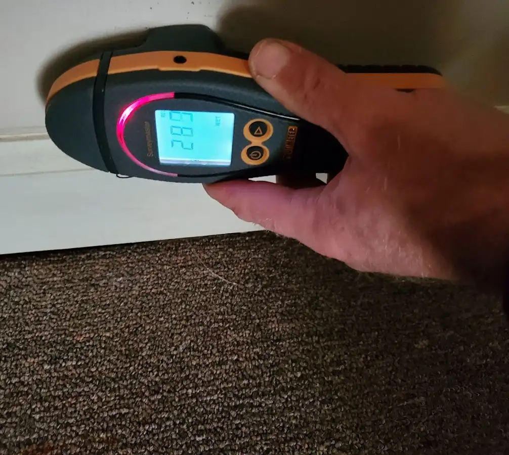 Moisture detection at baseboard during Sewage Cleanup & Sanitation in Manassas Park